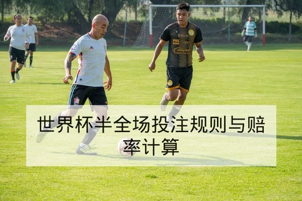 世界杯半全场投注规则与赔率计算